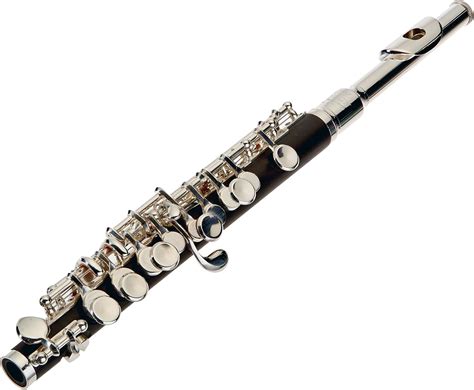 piccolo instrument amazon|where to buy a piccolo.